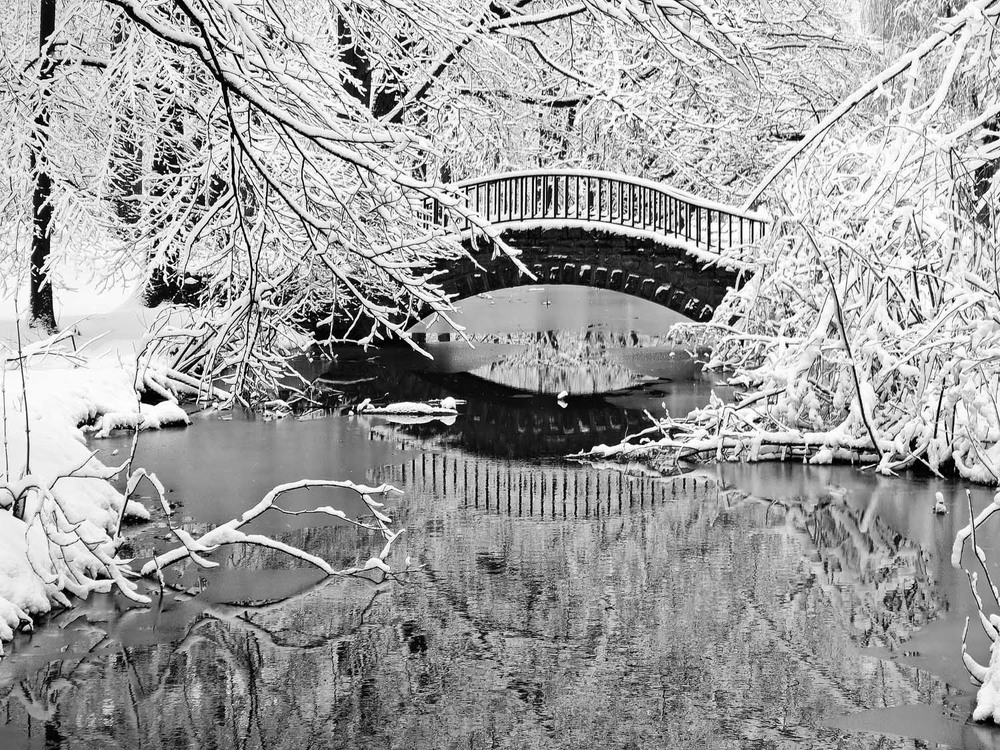 Фотографія Разное / Yevhenii Lukashuk / photographers.ua