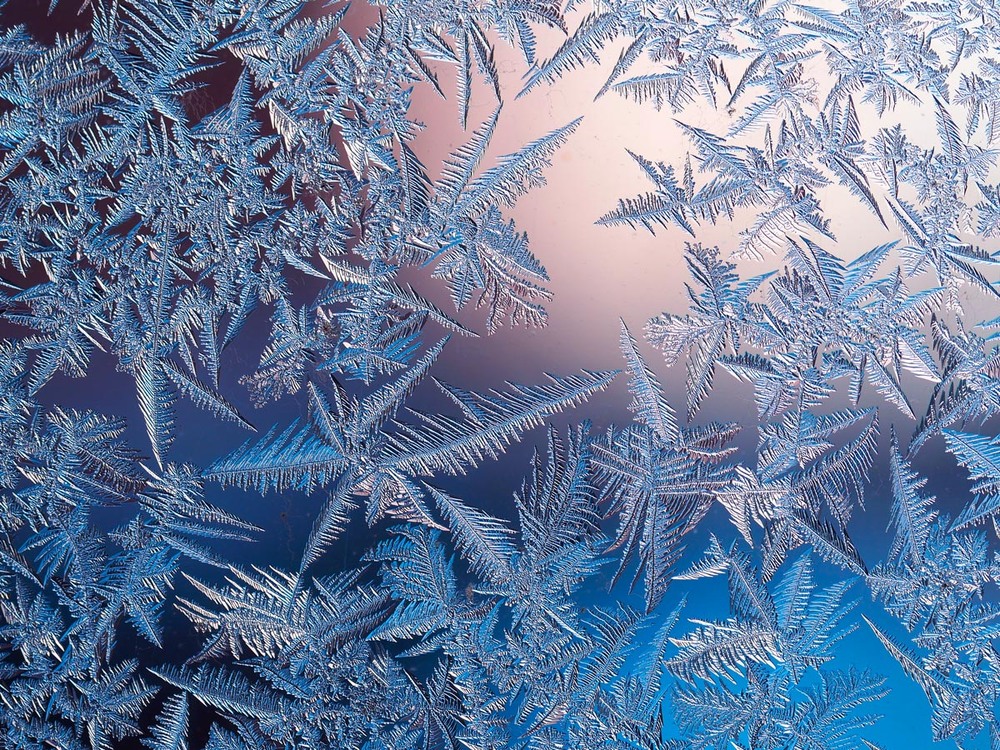 Фотографія Макро / Yevhenii Lukashuk / photographers.ua