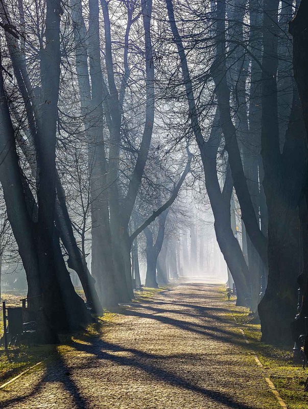 Фотографія Пейзаж / Yevhenii Lukashuk / photographers.ua