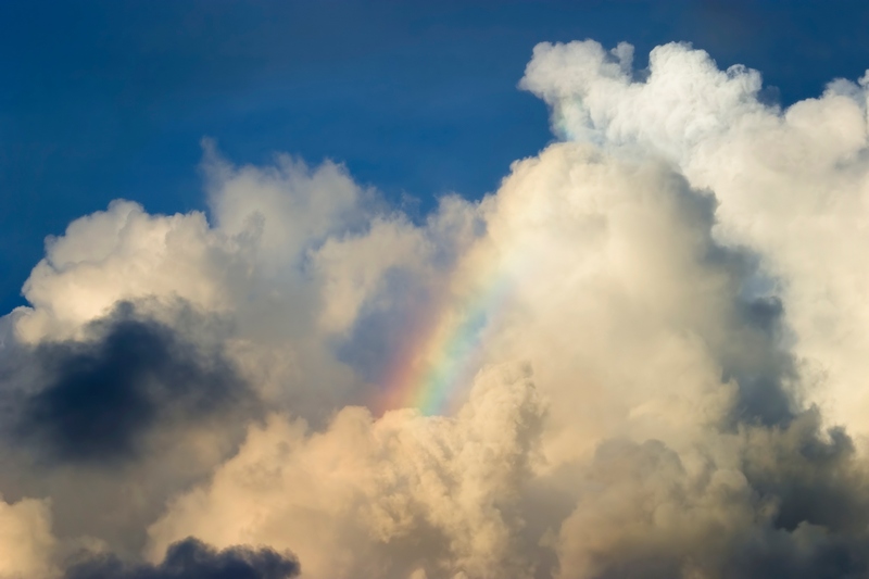 Фотографія Hidden rainbow / Александр Т. / photographers.ua