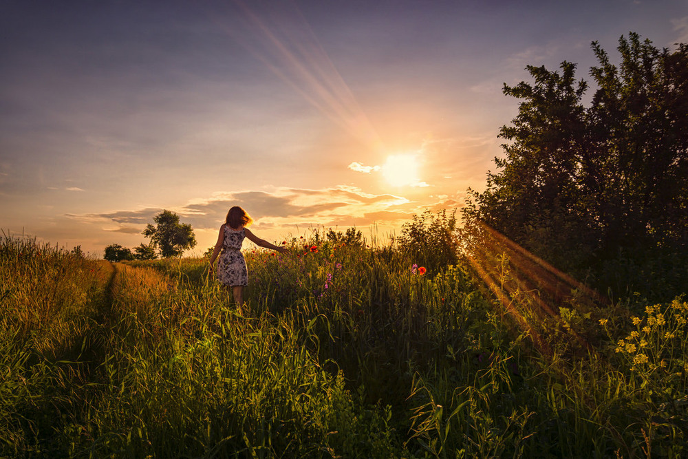 Фотографія В полі... / Sergiy / photographers.ua