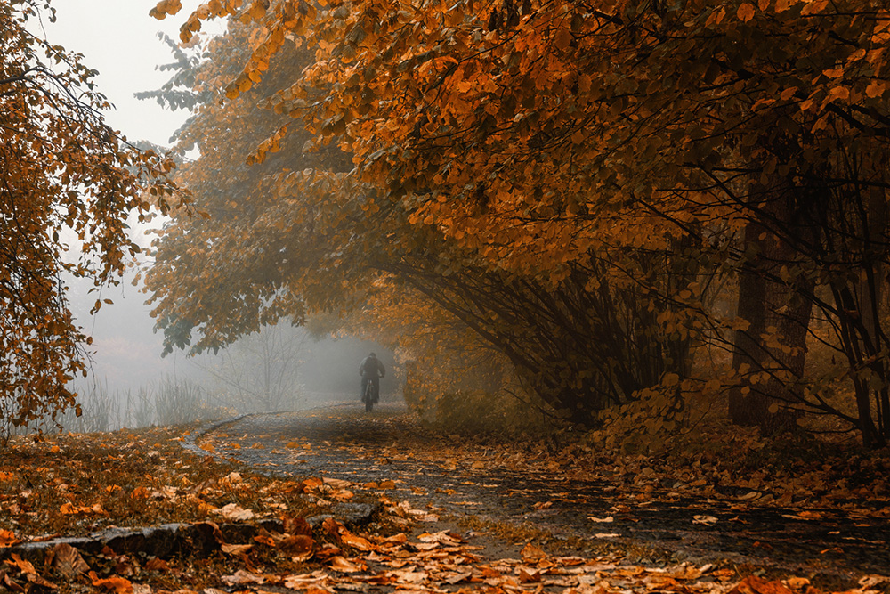 Фотографія Велосипедист... / Sergiy / photographers.ua