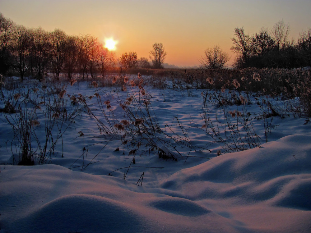 Фотографія Сходить зимове сонце / Петро Гладкевич / photographers.ua