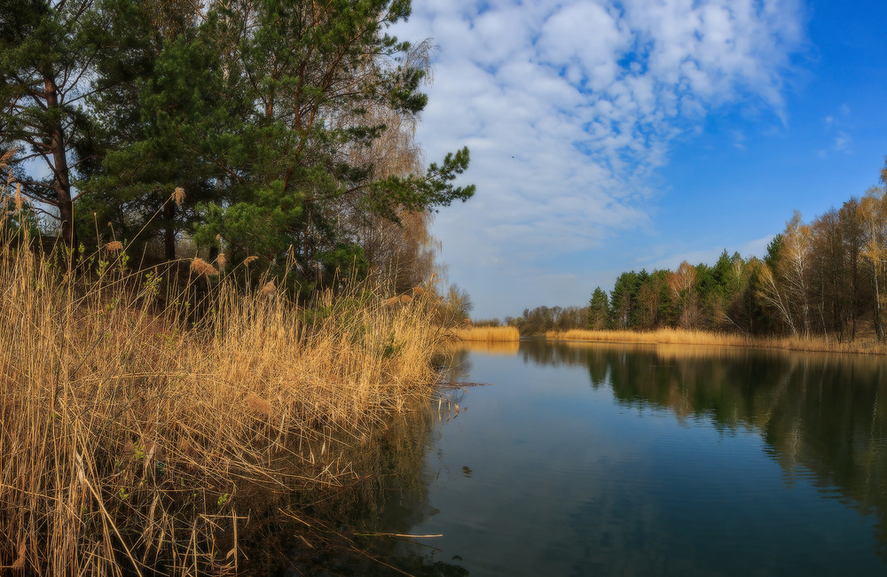 Фотографія Весна лісового озера ч.4 / Петро Гладкевич / photographers.ua