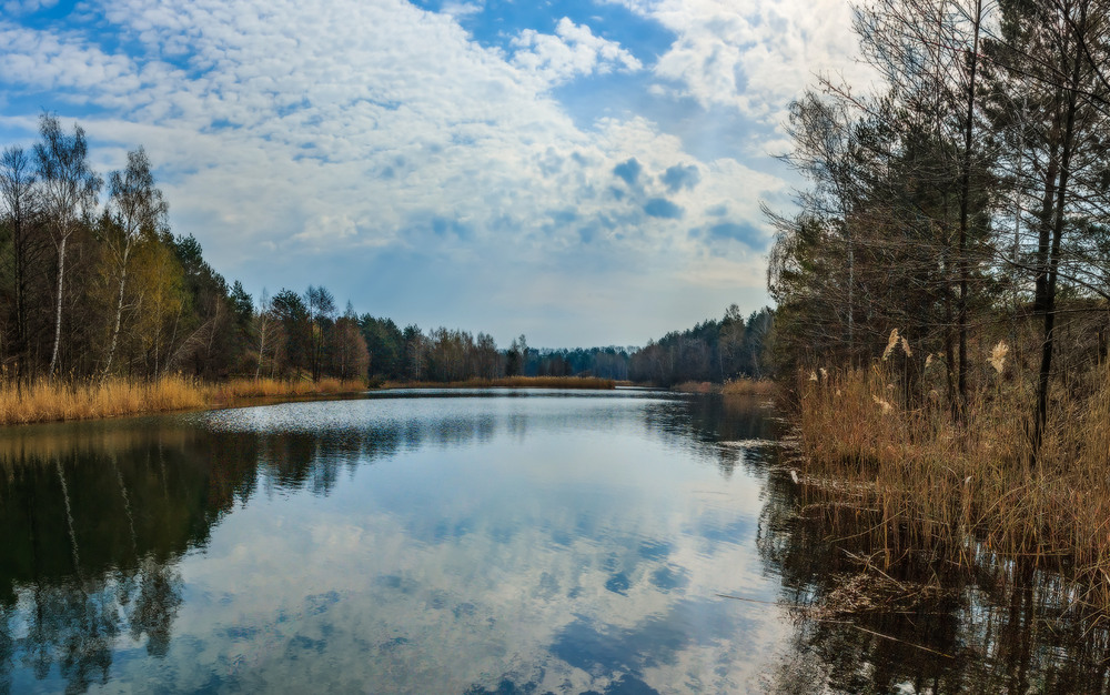 Фотографія Весна лісового озера ч.5 / Петро Гладкевич / photographers.ua