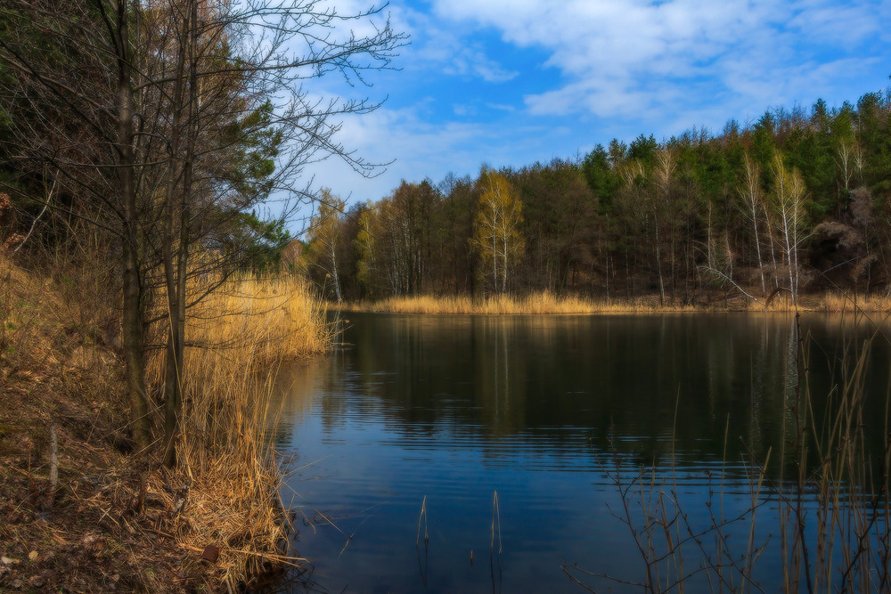 Фотографія Весна лісового озера ч.6 / Петро Гладкевич / photographers.ua