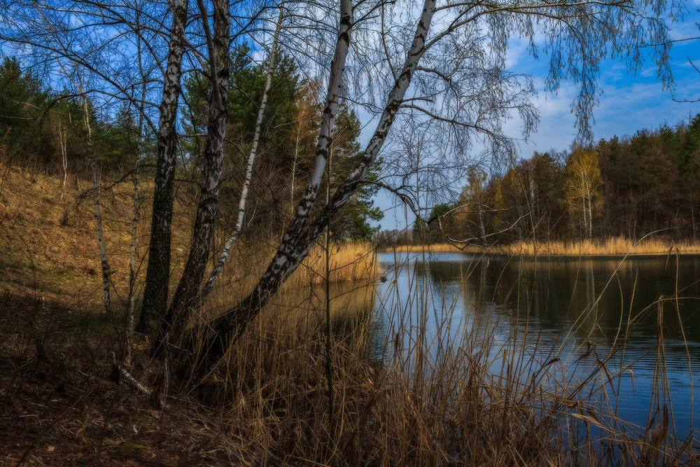 Фотографія Весна лісового озера ч.7 / Петро Гладкевич / photographers.ua