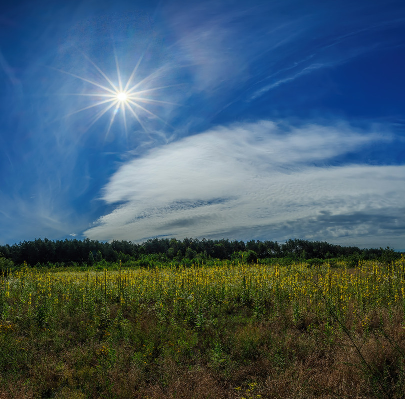 Фотографія Світить літнє сонце / Петро Гладкевич / photographers.ua