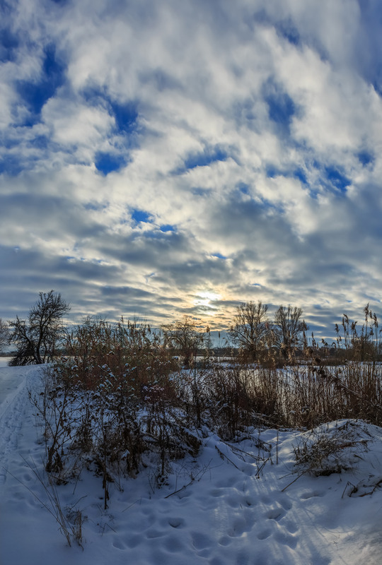 Фотографія Був зимовий вечір ч.2 / Петро Гладкевич / photographers.ua