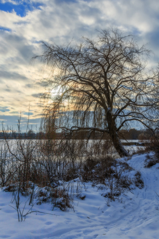 Фотографія Був зимовий вечір. Як сонце заплуталось / Петро Гладкевич / photographers.ua