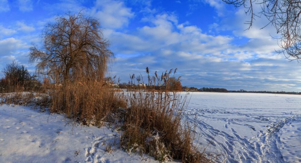 Фотографія Був зимовий вечір ч.5 / Петро Гладкевич / photographers.ua