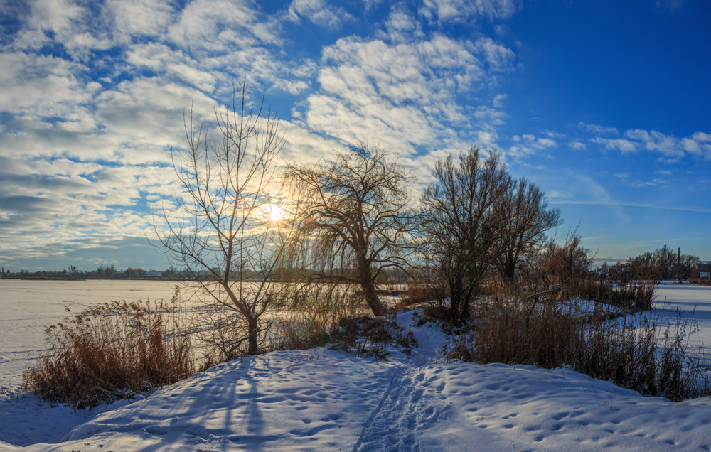 Фотографія Був зимовий вечір ч.6 / Петро Гладкевич / photographers.ua
