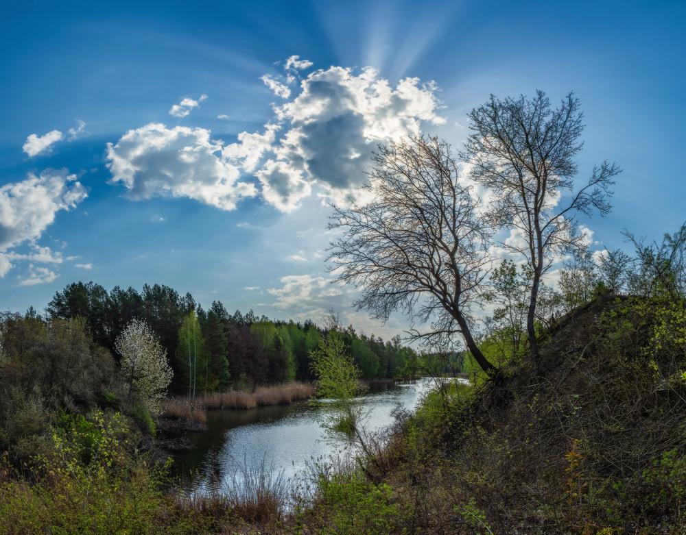 Фотографія Весна лісового озера ч.9 / Петро Гладкевич / photographers.ua