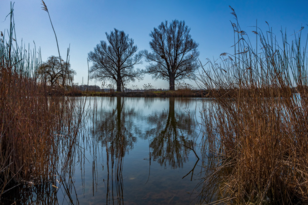 Фотографія Весняний настрій / Петро Гладкевич / photographers.ua