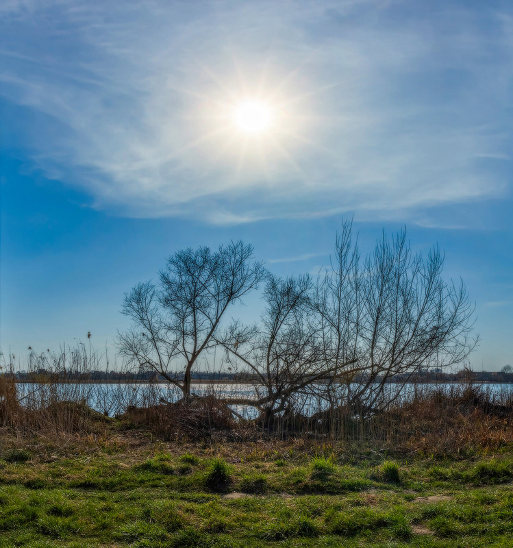 Фотографія Гріє весняне сонце / Петро Гладкевич / photographers.ua
