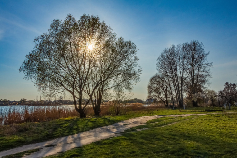 Фотографія Вечоріє / Петро Гладкевич / photographers.ua