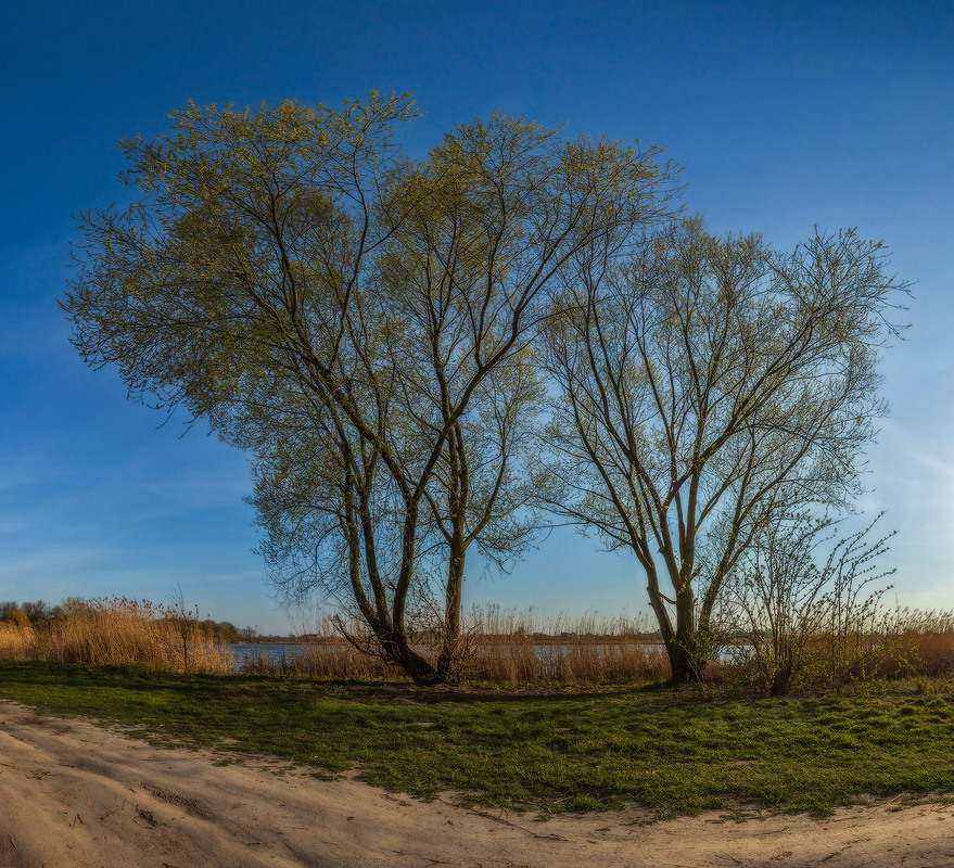 Фотографія Про весняний вечір / Петро Гладкевич / photographers.ua