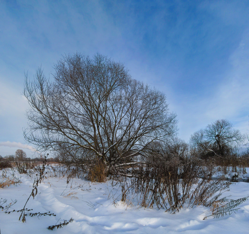 Фотографія Зимовими стежками / Петро Гладкевич / photographers.ua