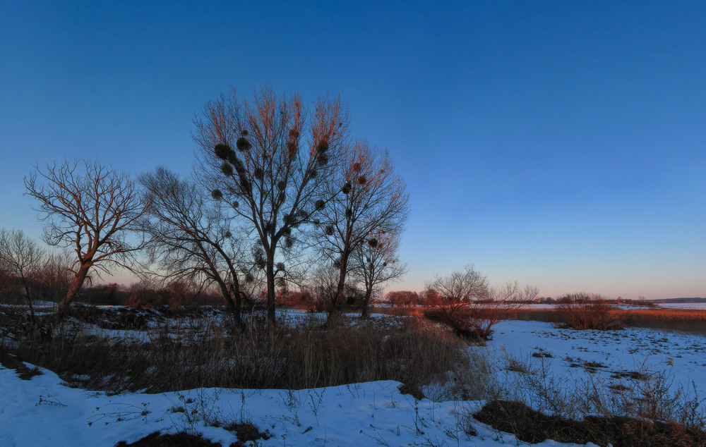 Фотографія Був зимовий вечір. Останні промені / Петро Гладкевич / photographers.ua