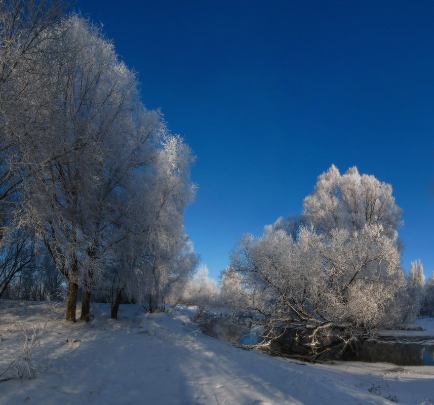 Фотографія Під кришталевими склепіннями зими / Петро Гладкевич / photographers.ua