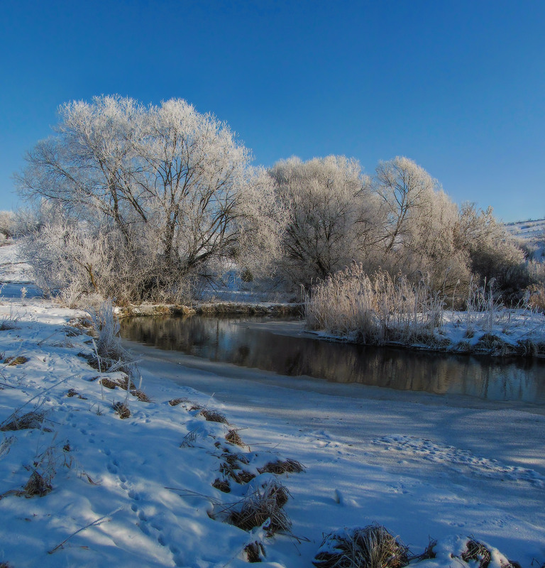 Фотографія Берегами зимової річки ч.2 / Петро Гладкевич / photographers.ua