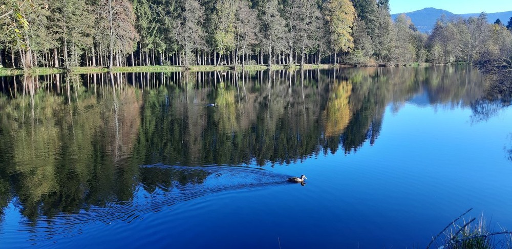 Фотографія Etang du Souche / philippe mansuy / photographers.ua