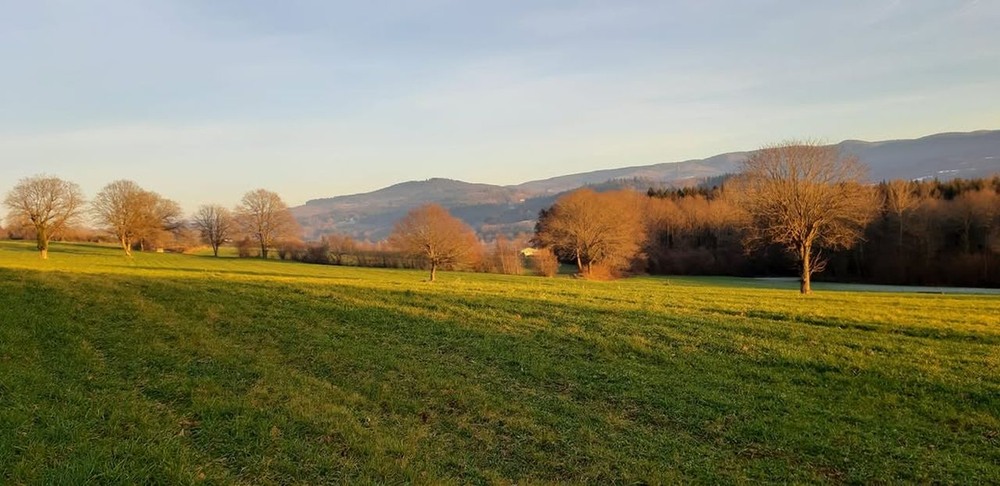 Фотографія Dernier  jour .... / philippe mansuy / photographers.ua