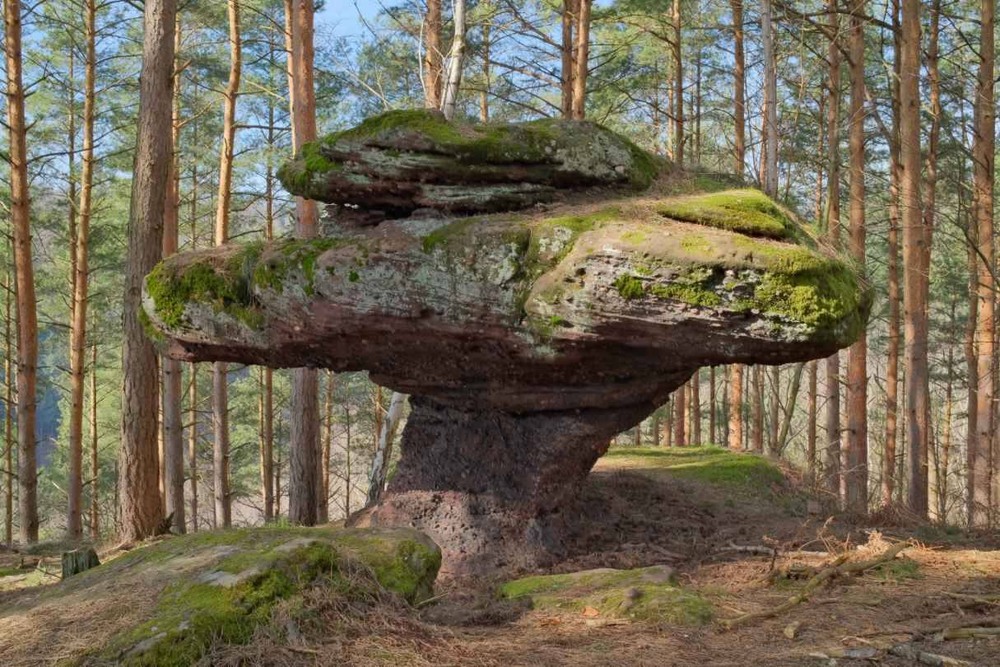 Фотографія Roche  du  champignon / philippe mansuy / photographers.ua