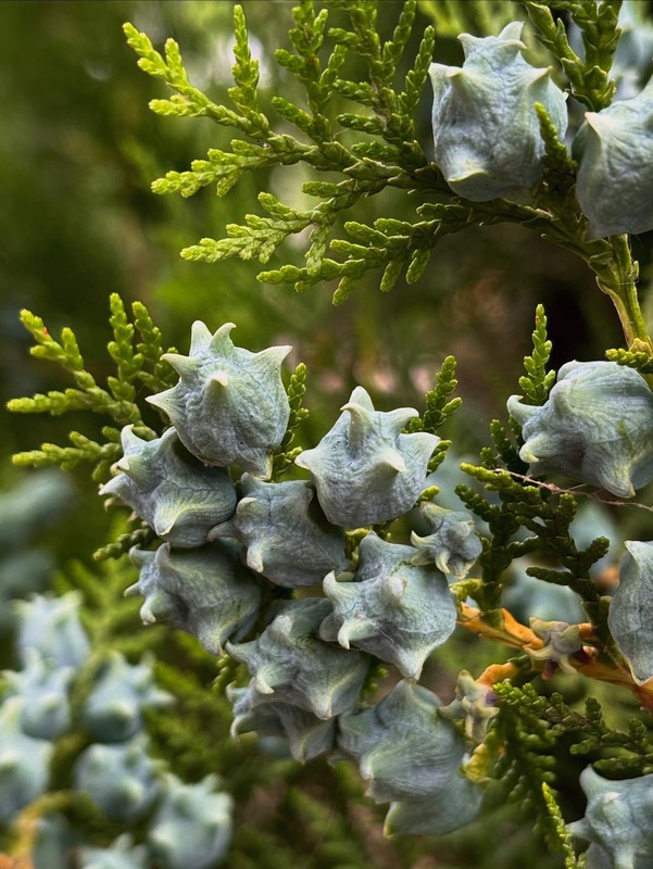 Фотографія Секрет щасливого буття - робити те, що приносить задоволення / Anna Derevyanko / photographers.ua