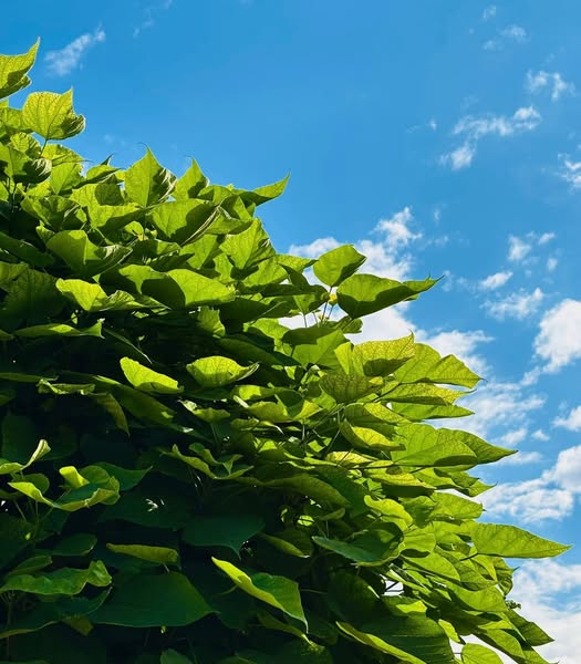 Фотографія Там де ти і є вчасність / Anna Derevyanko / photographers.ua