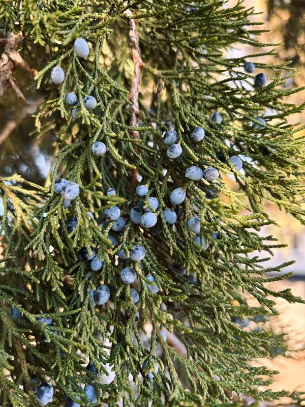 Фотографія Лови прекрасні моменти / Anna Derevyanko / photographers.ua