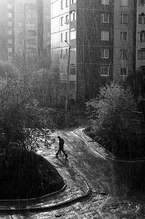 Фотографія Ходити під дощем / Тарас Карабін / photographers.ua