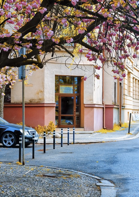 Фотографія Разное / Jade Moon / photographers.ua