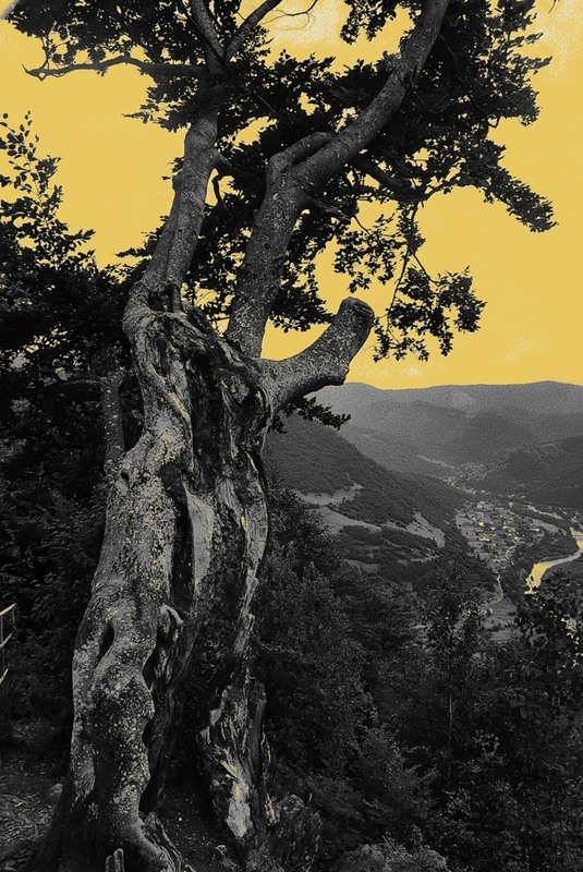 Фотографія Разное / Jade Moon / photographers.ua