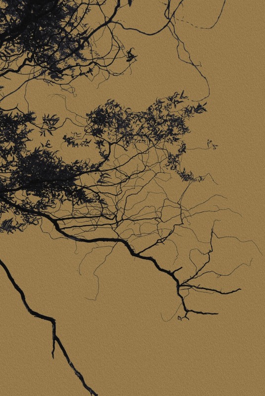 Фотографія Разное / Jade Moon / photographers.ua