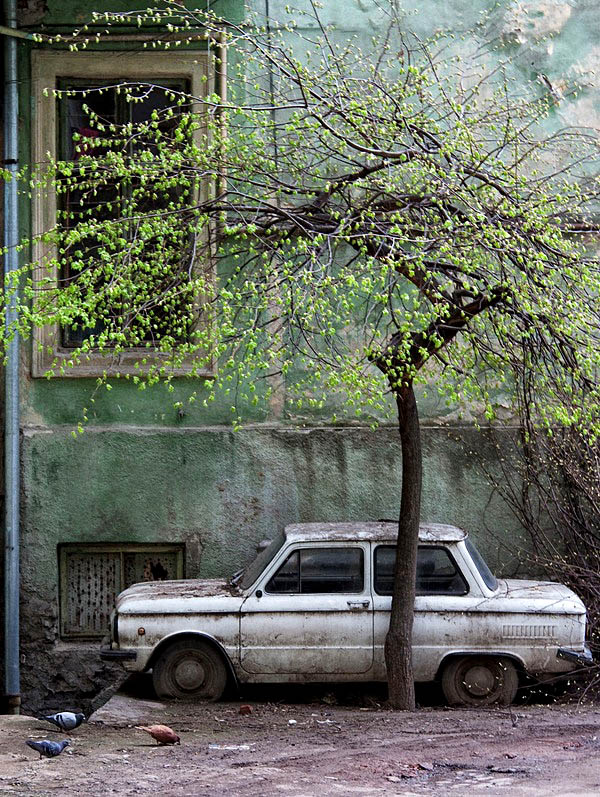 Фотографія Старость в одиночестве / Денис Мельничук / photographers.ua