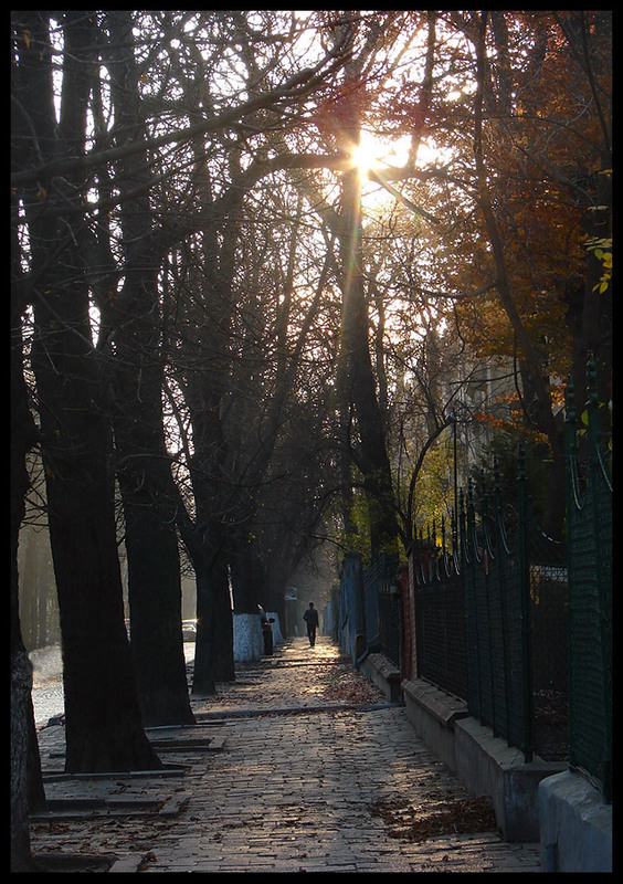 Фотографія Осіння замальовка / Євген Далекий / photographers.ua