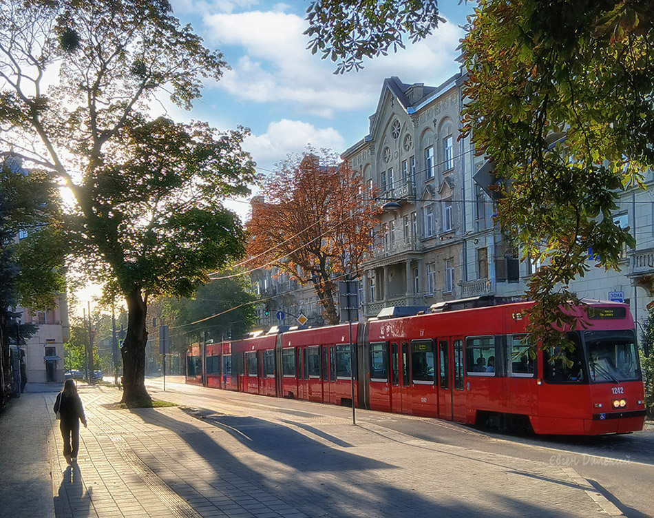 Фотографія Ранок у Львові / Євген Далекий / photographers.ua