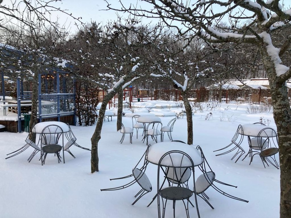 Фотографія Січень.Літнє кафе / Микита Лис / photographers.ua