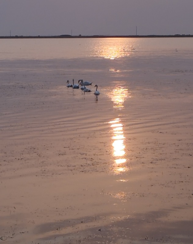 Фотографія Трошки літа на спомин / Микита Лис / photographers.ua