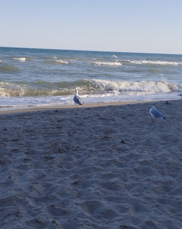 Фотографія Назустріч хвилям / Микита Лис / photographers.ua