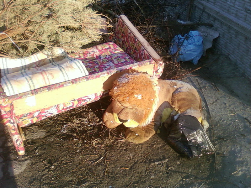 Фотографія ...бути левом / Микита Лис / photographers.ua