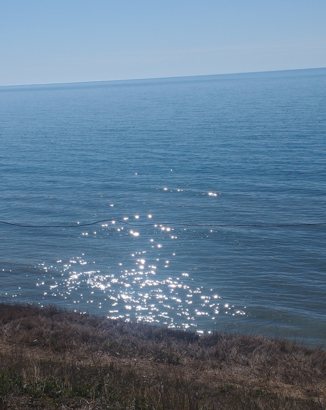 Фотографія Жменька сонця в синьому морі / Микита Лис / photographers.ua