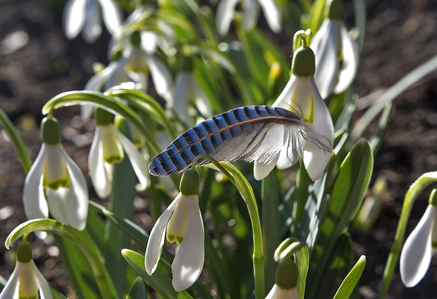 Фотографія загубилося... / Володимир Сорока / photographers.ua