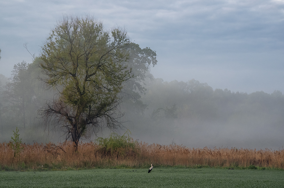 Фотографія До сходу сонця... / Володимир Сорока / photographers.ua