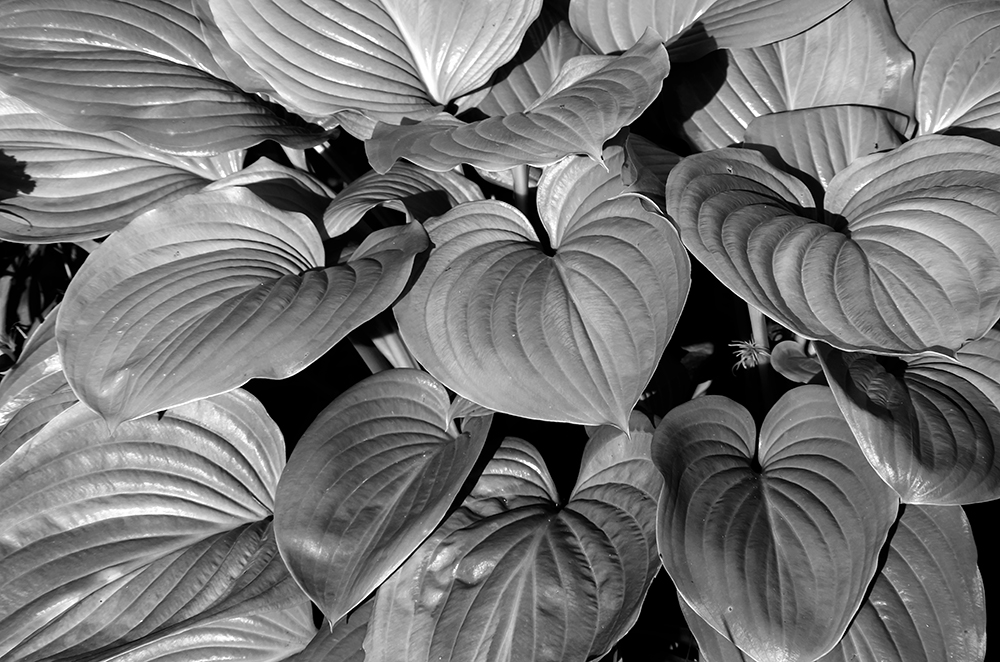 Фотографія Форми,контрасти... / Володимир Сорока / photographers.ua