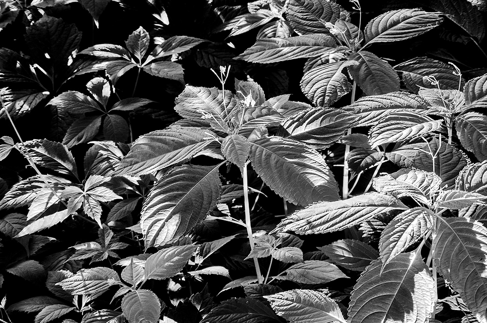 Фотографія Форми,лінії,контрасти -2 / Володимир Сорока / photographers.ua