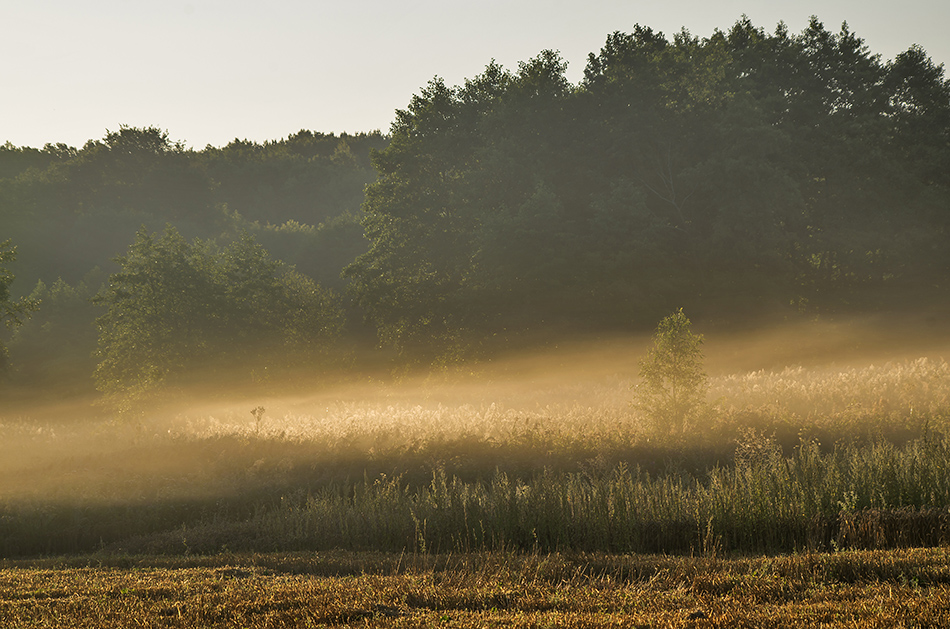 Фотографія Серпень... / Володимир Сорока / photographers.ua