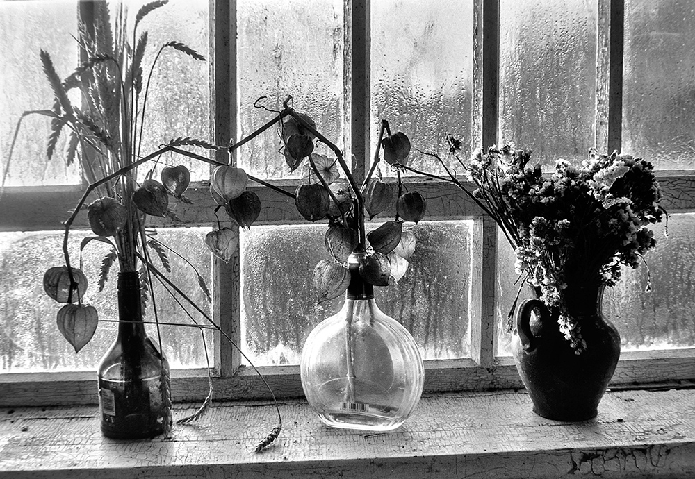 Фотографія отакая "ікебана"... / Володимир Сорока / photographers.ua