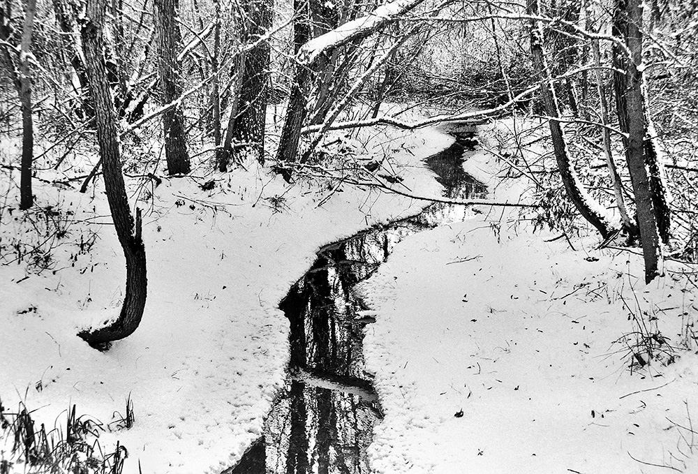 Фотографія Зимові контрасти... / Володимир Сорока / photographers.ua